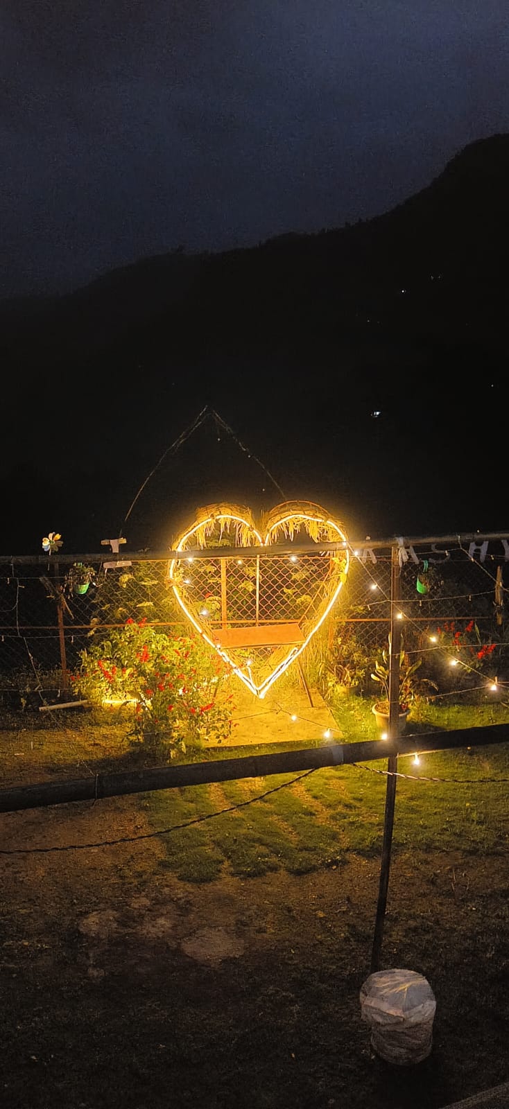 Cloud Nest garden lit up at night