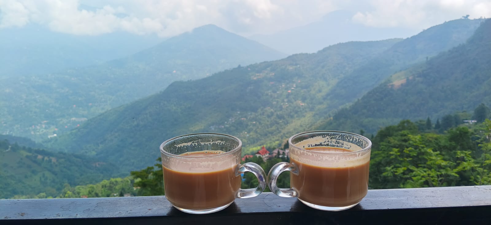 Cloud Nest tea view