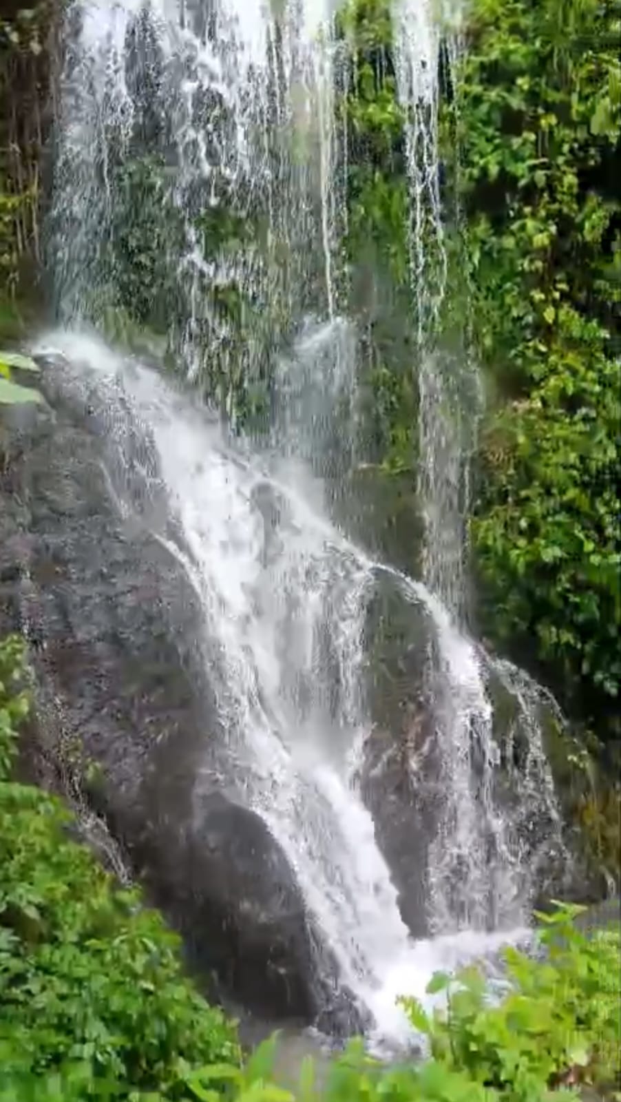 Waterfall near Cloud Nest